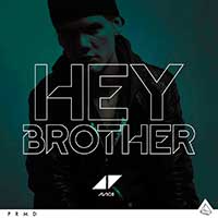 Hey Brother (Capa)