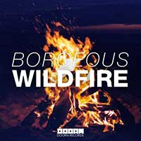 Wildfire (Capa)