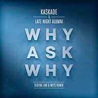 Why Ask Why (Capa)